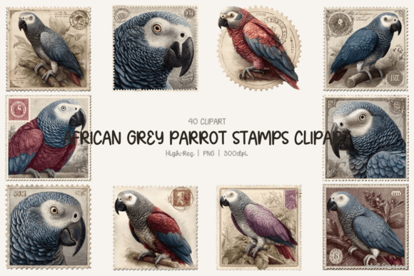 African Grey Parrot Stamps Clipart Guide