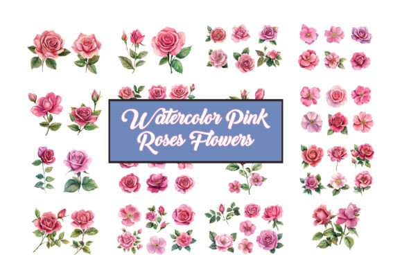 Watercolor Pink Roses Vector: A Guide to Elegant, Scalable Design